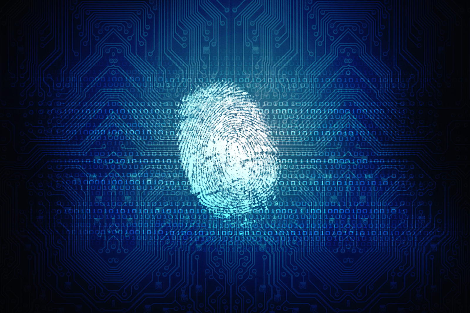 What Is Digital Forensics? Learn Here
